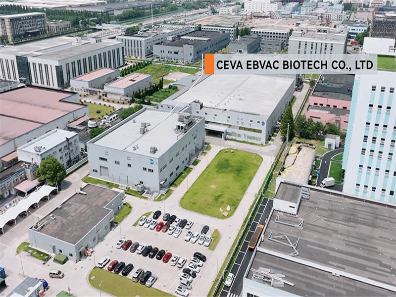 Caso de proyecto: Ceva Ebvac Biotech Co., Ltd