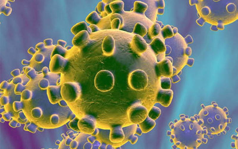 Para luchar contra el Coronavirus de Wuhan, necesitas saber esto