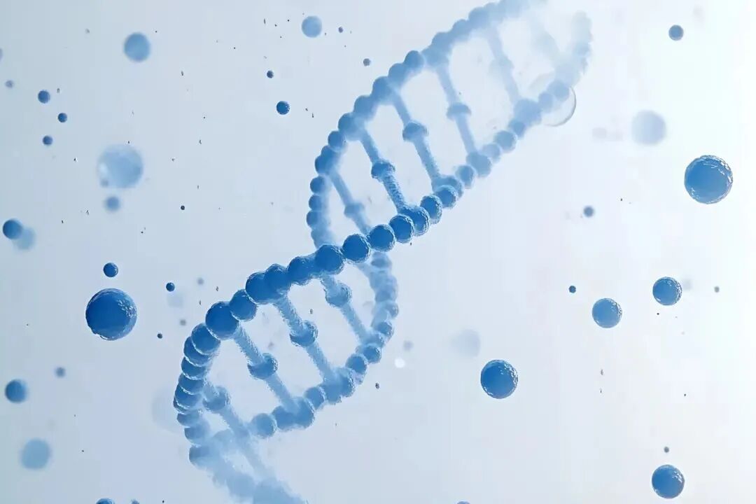 Shandong First Medical University se asocia con Wiskind para construir un laboratorio celular de alta calidad